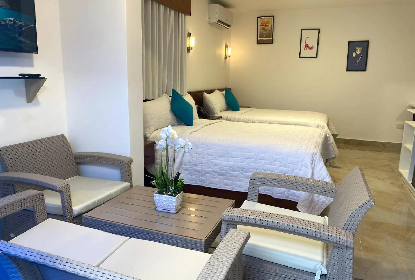 Halibut Hotel La Romana